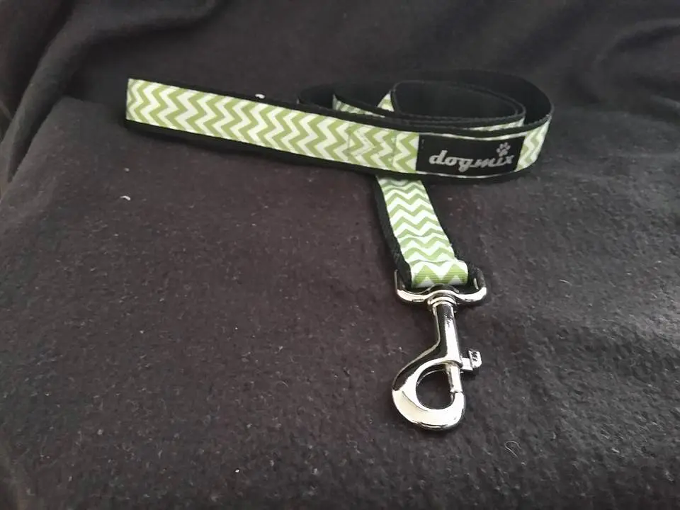 Trela Zig Zag verde  1