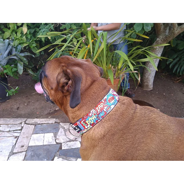 Coleira Banda Desenhada 4 cm