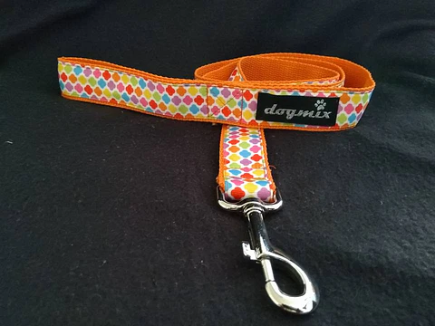 Trela Bolinhas Multicolor fundo laranja