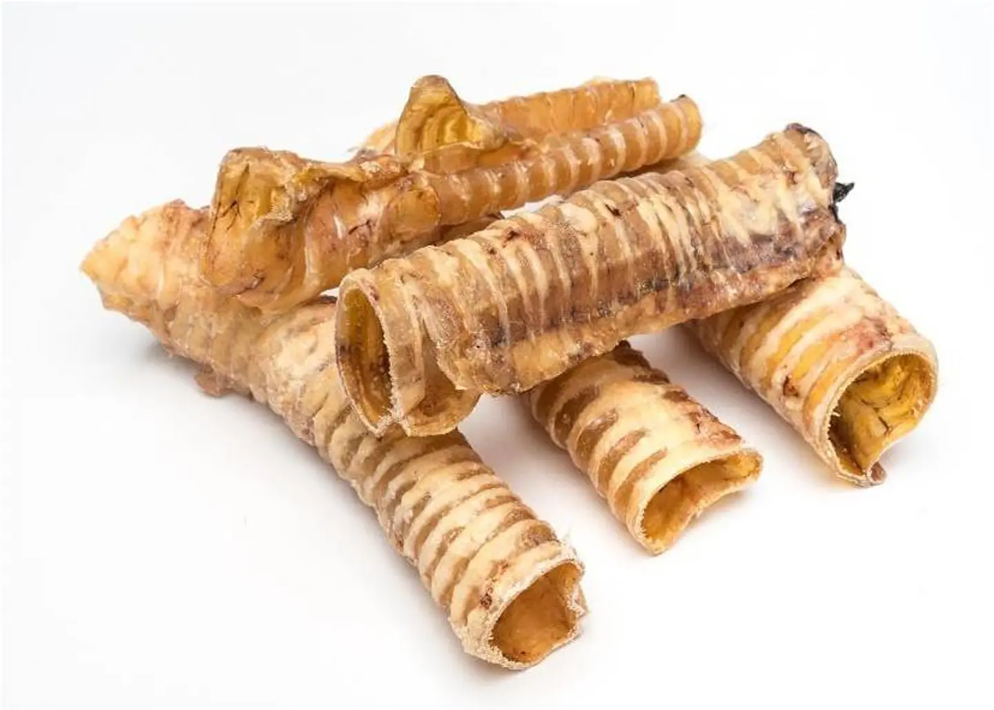 Traqueia de Vaca 🐂 1