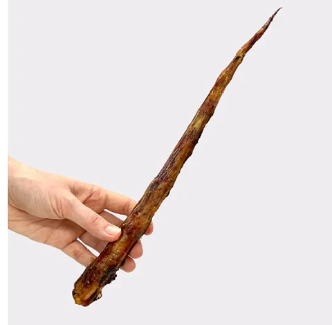 Rabo de Boi Longa 20-30 cm 🐂
