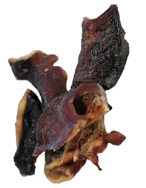 Cabeça Polvo 🐙