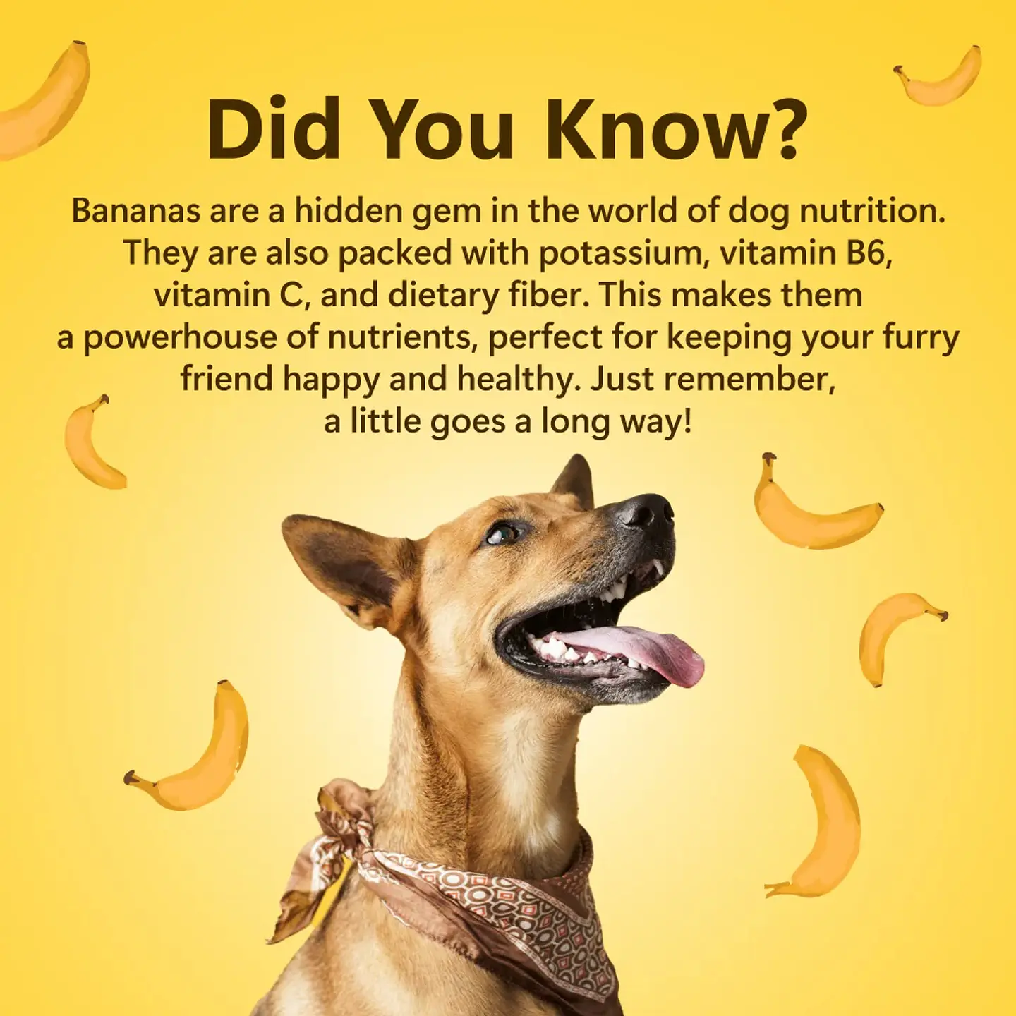 Banana 🍌 3