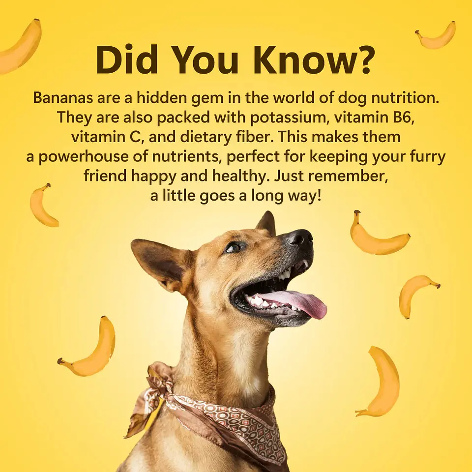 Banana 🍌 3