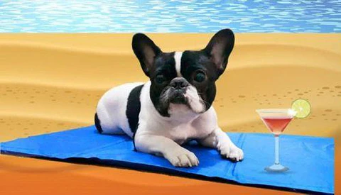 Tapete auto-refrescante Pet Cooling Mat