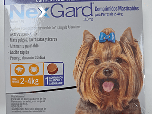 ANTIPARASITARIO EXTERNO NEXGARP 1 COMPRIMIDO 2-4 KG 