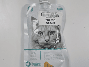 PASTA LIQUIDA SABOR SALMON Y ZAPALLO 90 GR