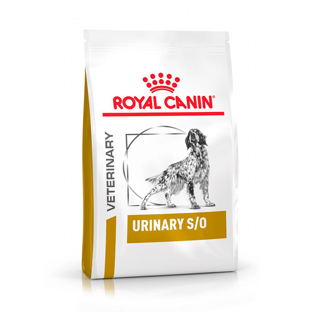 ROYAL CANIN DOG URINARY S/O 10 KG  1