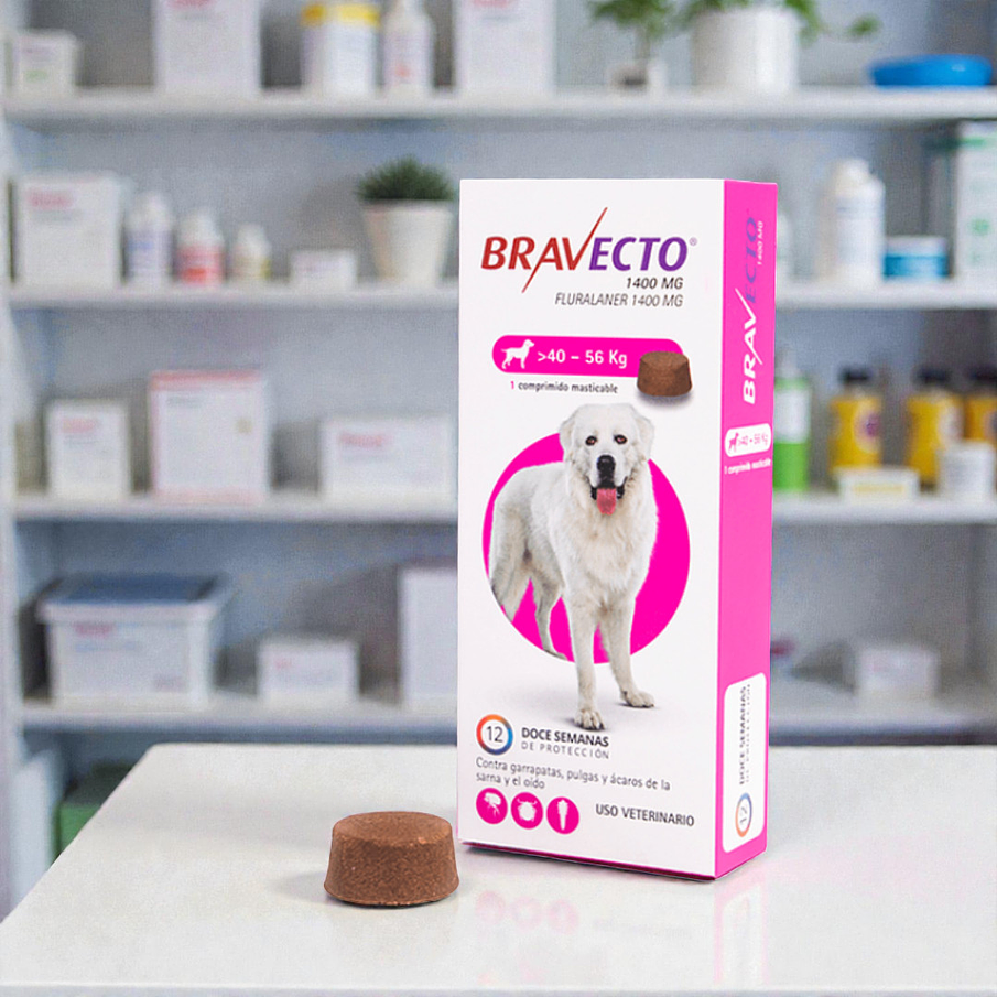 Bravecto >40-56 kg raza gigante 1