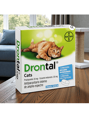 Drontal Gatos