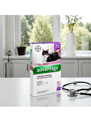 Advantage Gatos 4-8 kilos