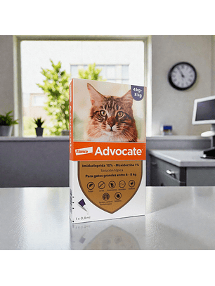 Advocate Gatos 4-8 kilos