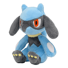 #447 Riolu 2