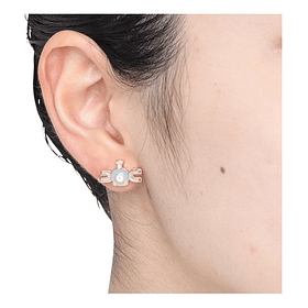 Aro Individual · Magnemite