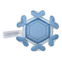 #615 Cryogonal - Vista del producto