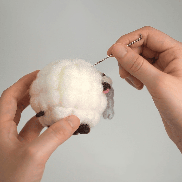 Kit Fieltro Lana · Wooloo