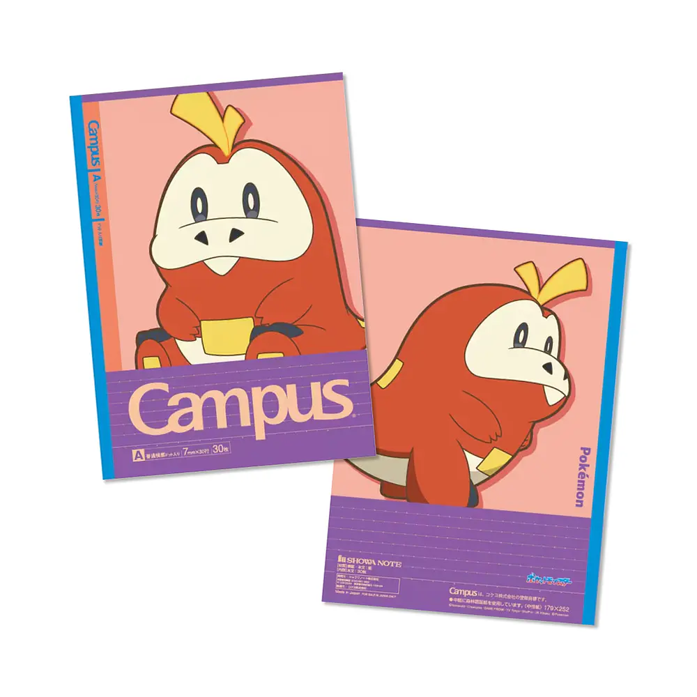 Pack 5 Cuadernos · Paldea - Vista del producto