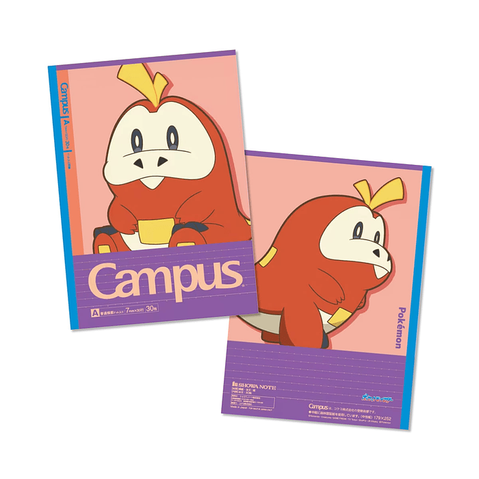 Pack 5 Cuadernos · Paldea 5