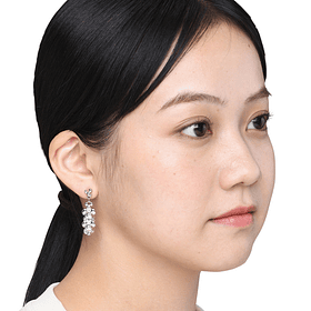 Aros Colgantes · Maushold