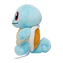 #007 Squirtle - Vista del producto