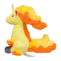 #078 Rapidash - Vista del producto