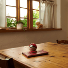 Agenda 2024 · 2025 · Miraidon 8