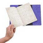 Agenda 2024 · 2025 · Miraidon 7