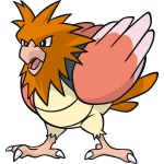 spearow