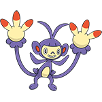 ambipom
