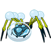 araquanid