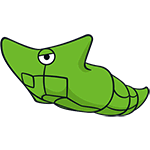 metapod