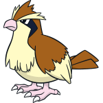 pidgey