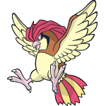 pidgeotto