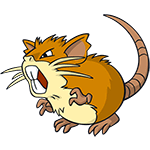 raticate