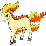ponyta