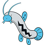barboach