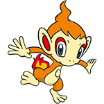 chimchar
