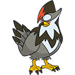 staraptor