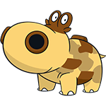 hippopotas