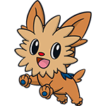lillipup