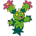 maractus