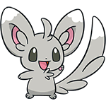 minccino