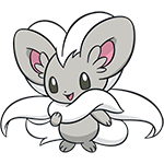 cinccino
