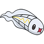 tynamo