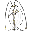 pheromosa