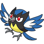 rookidee