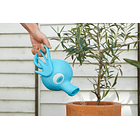 Regadera · Horsea 6