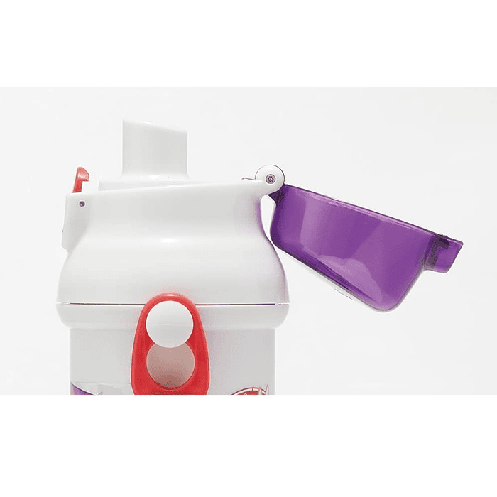 Botella 480ml · Paldea 4