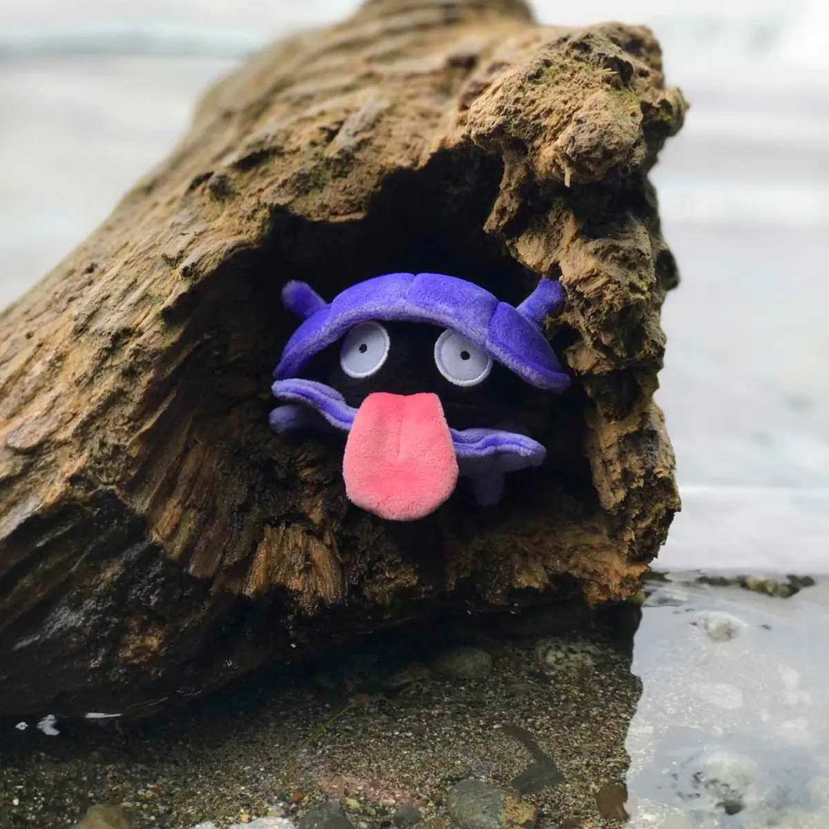 #090 Shellder · Peluche · Pokémon Fit · Gen 1 · Kanto | Doki Doki Store