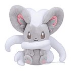 #573 Cinccino 2